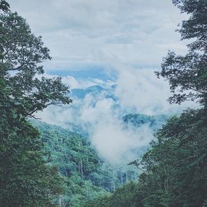 Meet your Posher, Eboni